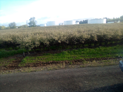 Supermarket «WinCo Foods», reviews and photos, 9700 NE Hwy 99, Vancouver, WA 98665, USA