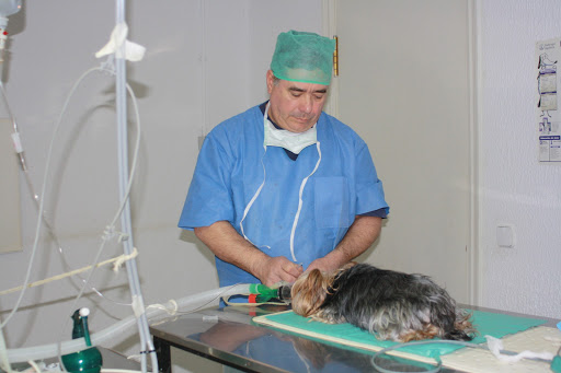 Centro Veterinario Villafranca en Villafranca de los Caballeros