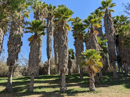 Parque Rodolfo Landeros Gallegos