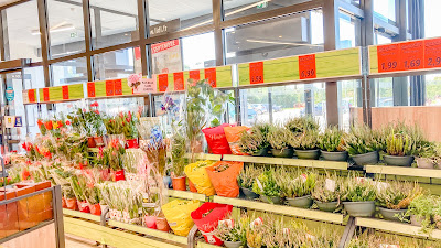 Lidl à Villerest
