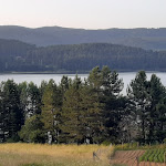 Photo n°6 de l'avis de Mario.i fait le 10/07/2019 à 06:11 sur le  Le Tre Lanterne à Camigliatello Silano