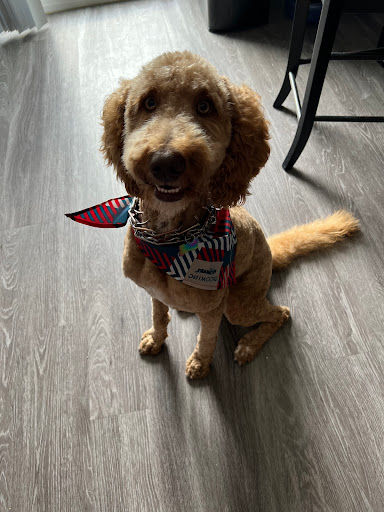 Pet Supply Store «PetSmart», reviews and photos, 3081 S 5600 W, Salt Lake City, UT 84120, USA