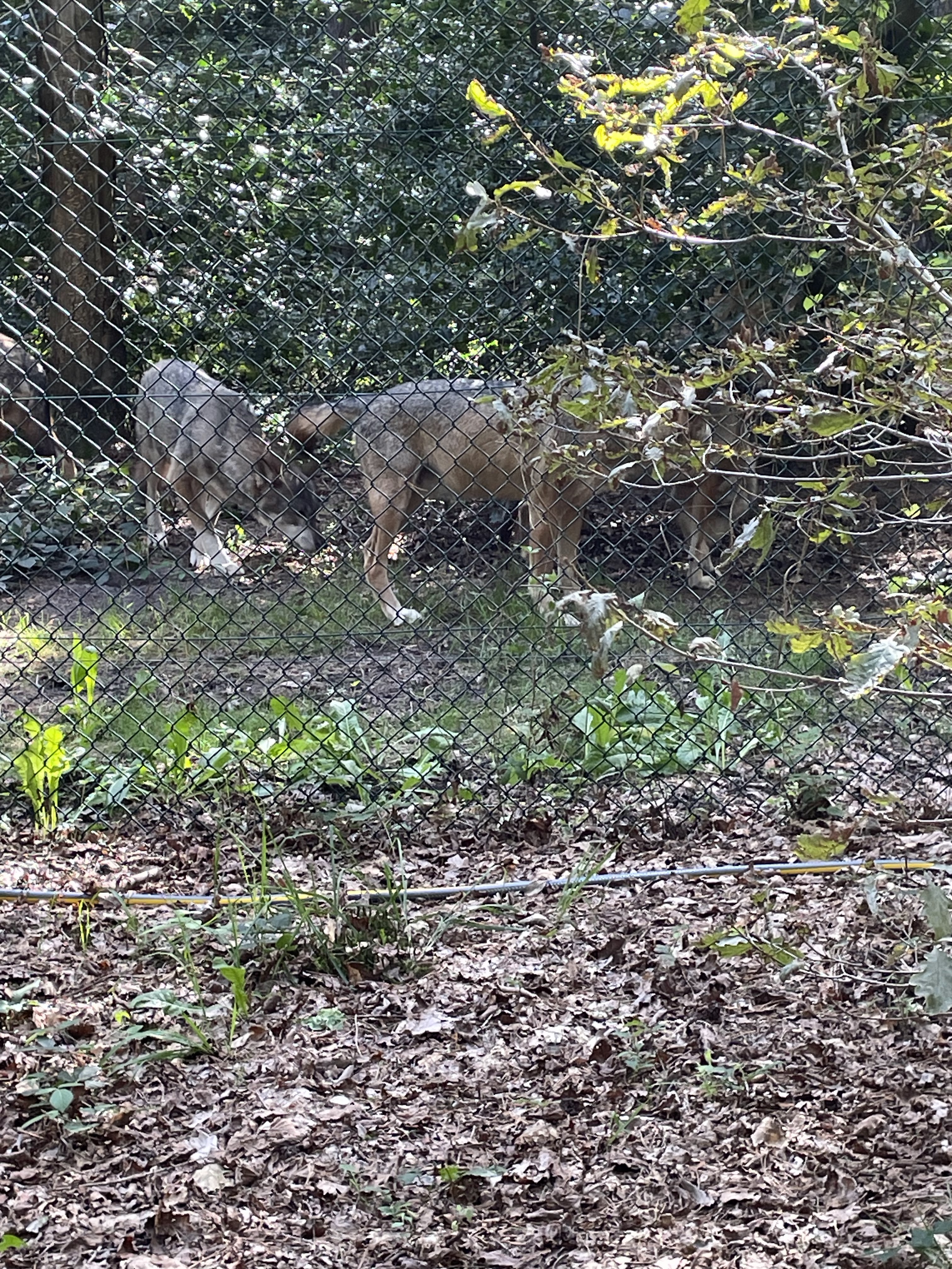 Photo n° 34 de l'avis de catherine.h fait le 22/08/2023 à 10:19