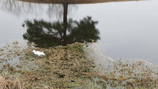 Golf Course «Heron Lakes Golf Course», reviews and photos, 7910 North Sam Houston Pkwy W, Houston, TX 77064, USA