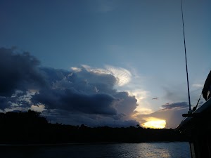 Hobe Sound Nature Center - photo 26