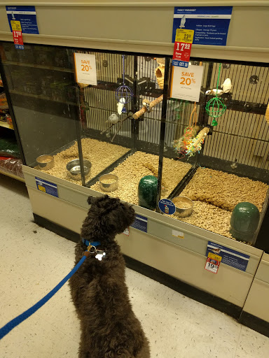 Pet Supply Store «PetSmart», reviews and photos, 5 Mystic View Rd, Everett, MA 02149, USA
