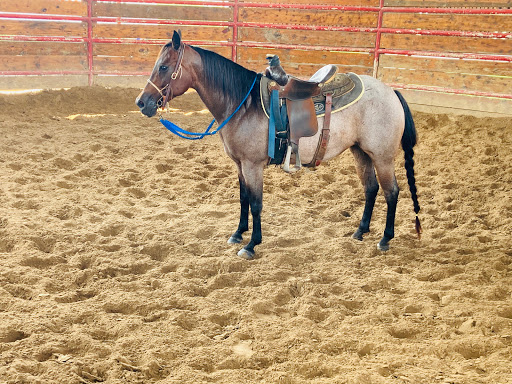 Stable Laredo