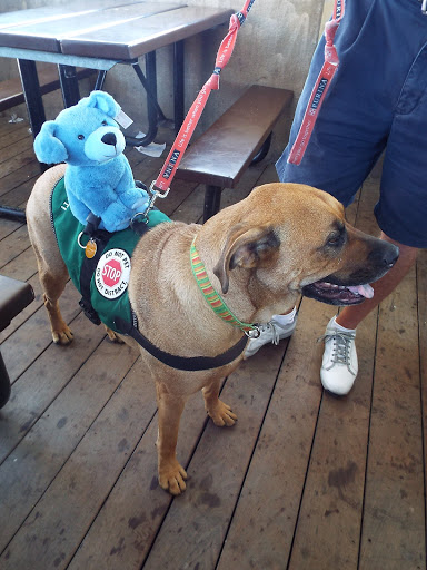 Amusement Park «Fantasy Island Amusement Park», reviews and photos, 320 7th St, Beach Haven, NJ 08008, USA