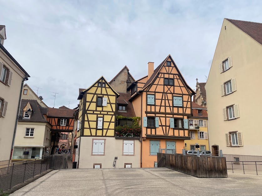 Cotoon Alsace - agence de Colmar à Colmar (Haut-Rhin 68)