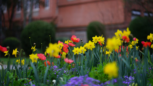 Jardin des Plantes