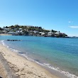 Devonport Beach