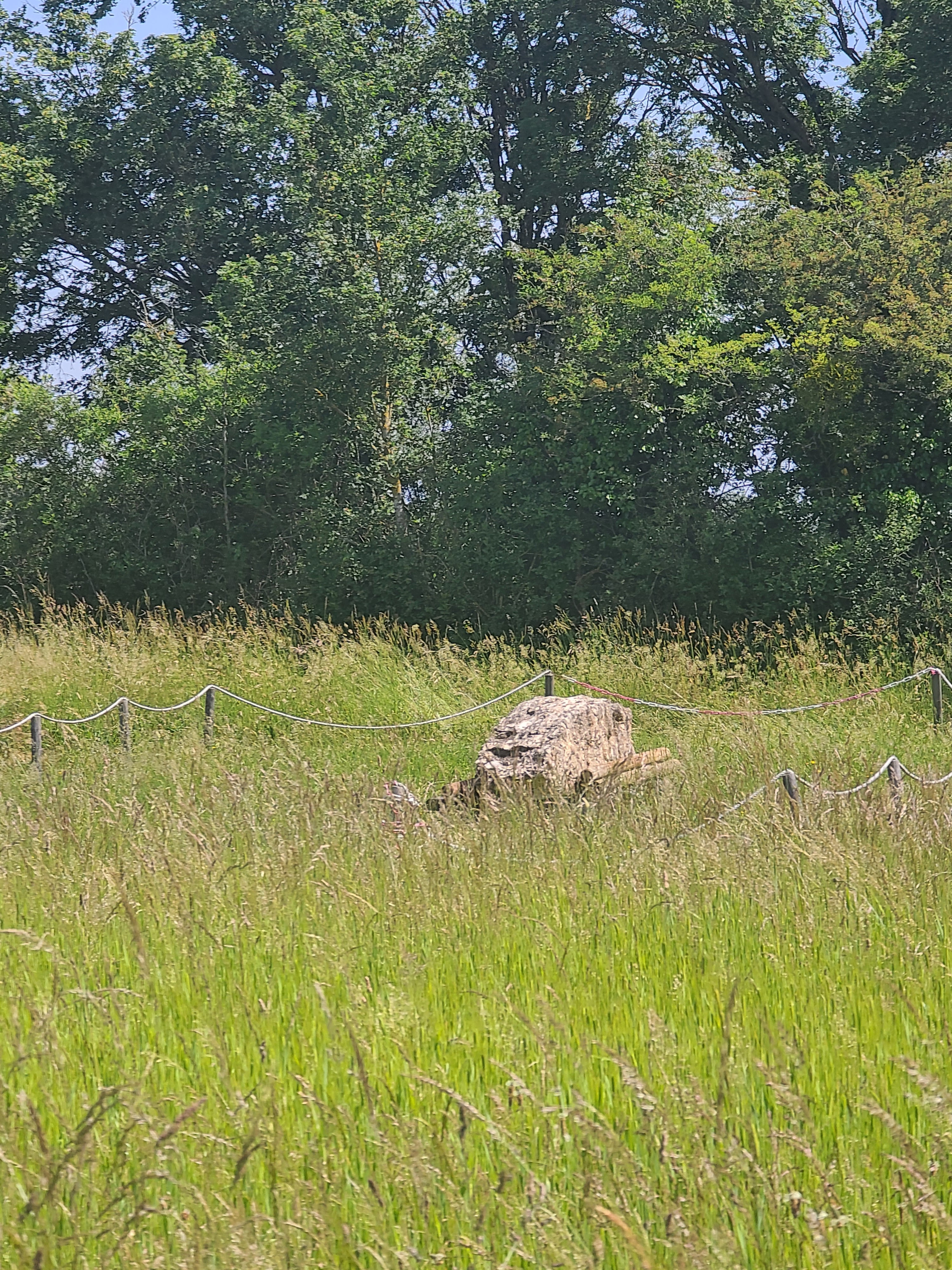 Photo n° 18 de l'avis de Astral. fait le 27/05/2023 à 12:27