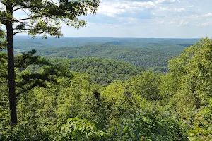 Mark Twain National Forest image