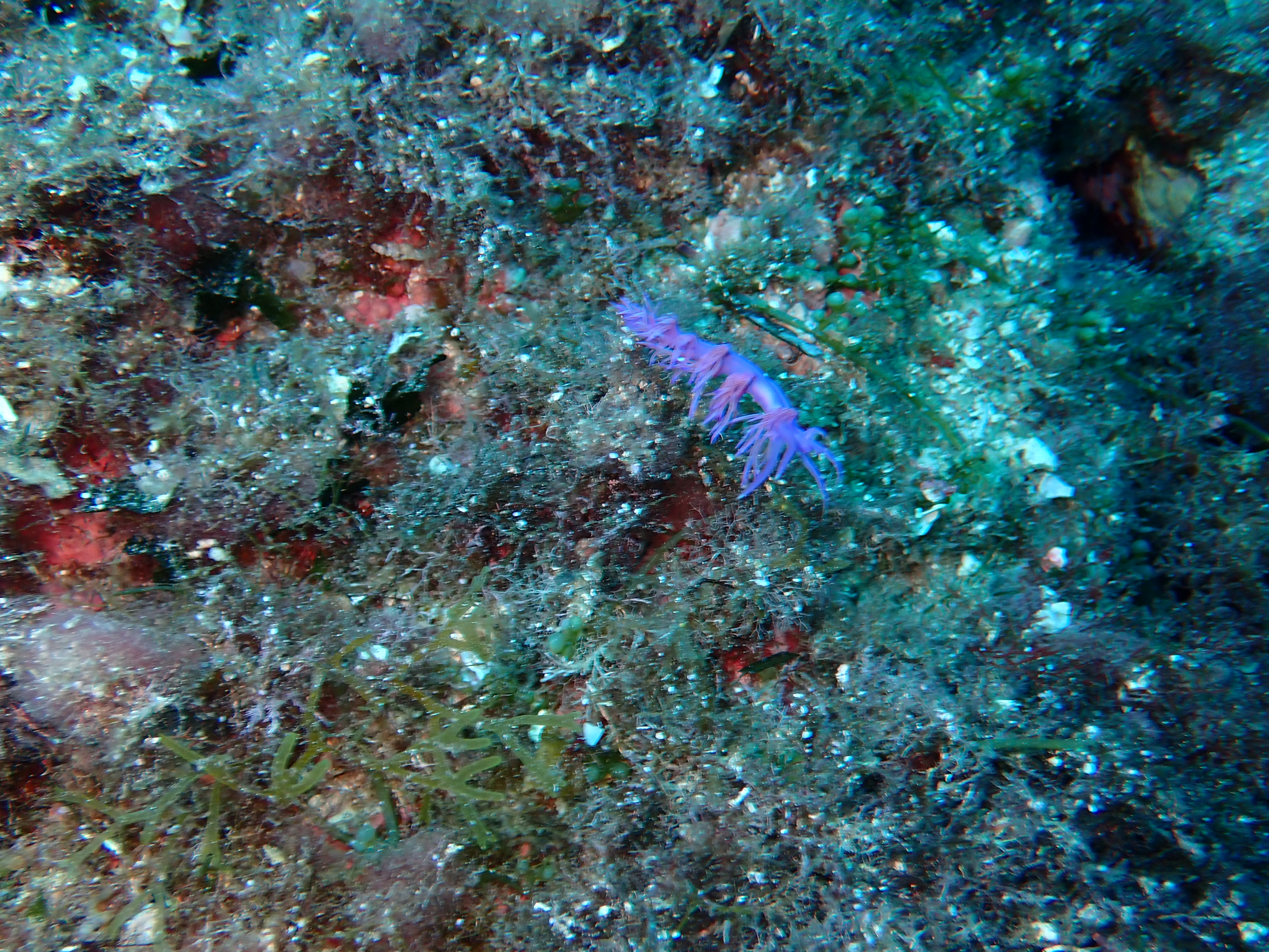 Photo n° 1 de l'avis de Murielle.E fait le 27/08/2021 à 10:24