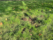 Spring Green - Photo 3 - Car repair in Plainfield, IL, Aurora