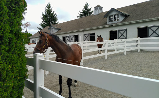 State Park «Bridle Trails State Park», reviews and photos, 5300 116th Ave. N.W., Kirkland, WA 98033, USA