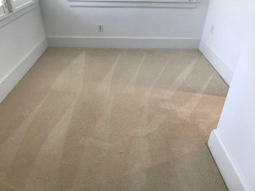 Green Dog Chem-Dry Carpet Cleaning