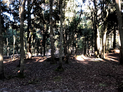 Zona De Acampada De La Tahona