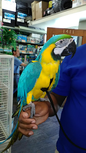 Pet Store «Pet Central», reviews and photos, 1411 Powell St, San Francisco, CA 94109, USA