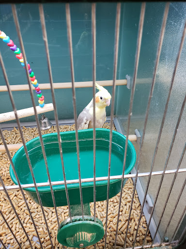 Pet Supply Store «Pet Supplies Plus», reviews and photos, 2155 Delaware Ave, Buffalo, NY 14216, USA
