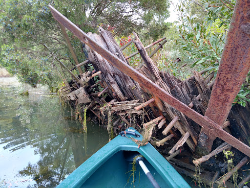 Tourist Attraction «Mallows Bay», reviews and photos, 1440 Wilson Landing Rd, Nanjemoy, MD 20662, USA