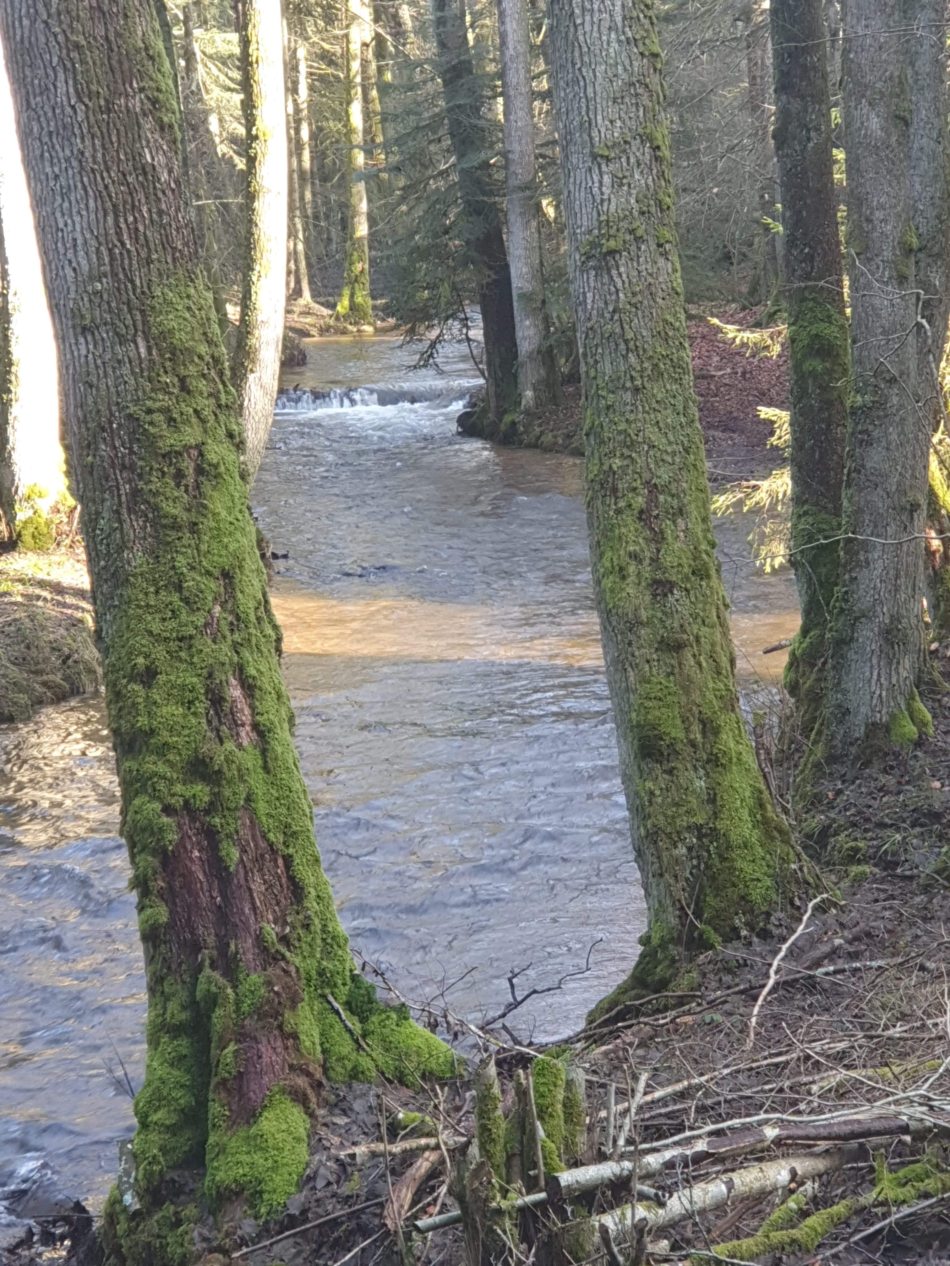Photo n° 15 de l'avis de Magalie.a fait le 10/02/2020 à 19:38