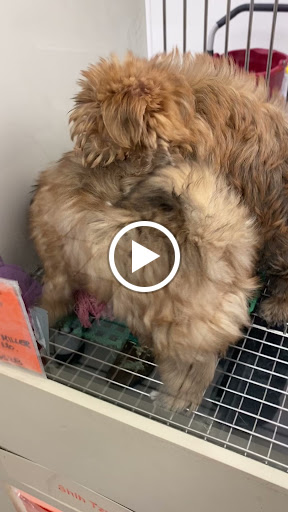 Pet Store «Family Pet Center», reviews and photos, 1401 Greenbrier Pkwy, Chesapeake, VA 23320, USA