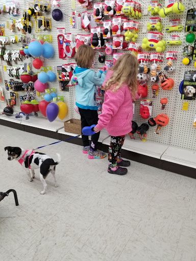 Pet Supply Store «Pet Source», reviews and photos, 1927 Spartanburg Hwy, Hendersonville, NC 28792, USA