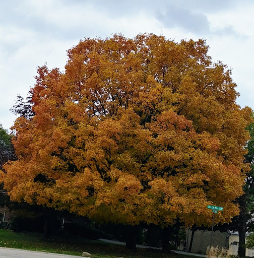 Nature Preserve «Rock Run Preserve - Black Road Access», reviews and photos, Black Rd, Joliet, IL 60431, USA