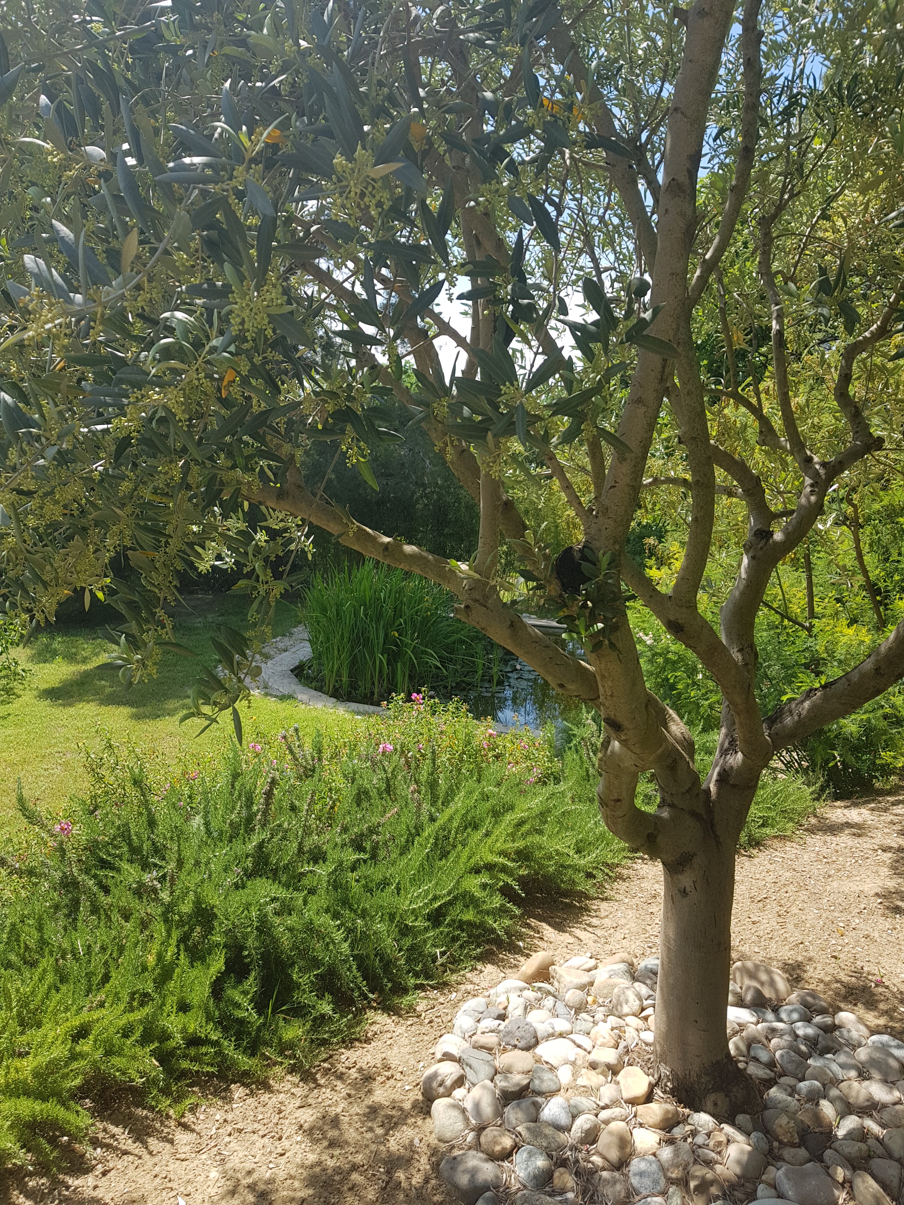 Photo n° 8 de l'avis de Julien.A fait le 29/05/2021 à 19:53