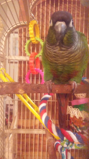 Pet Store «Wet Pets N Critters», reviews and photos, 103 TX-281 Loop, Longview, TX 75605, USA