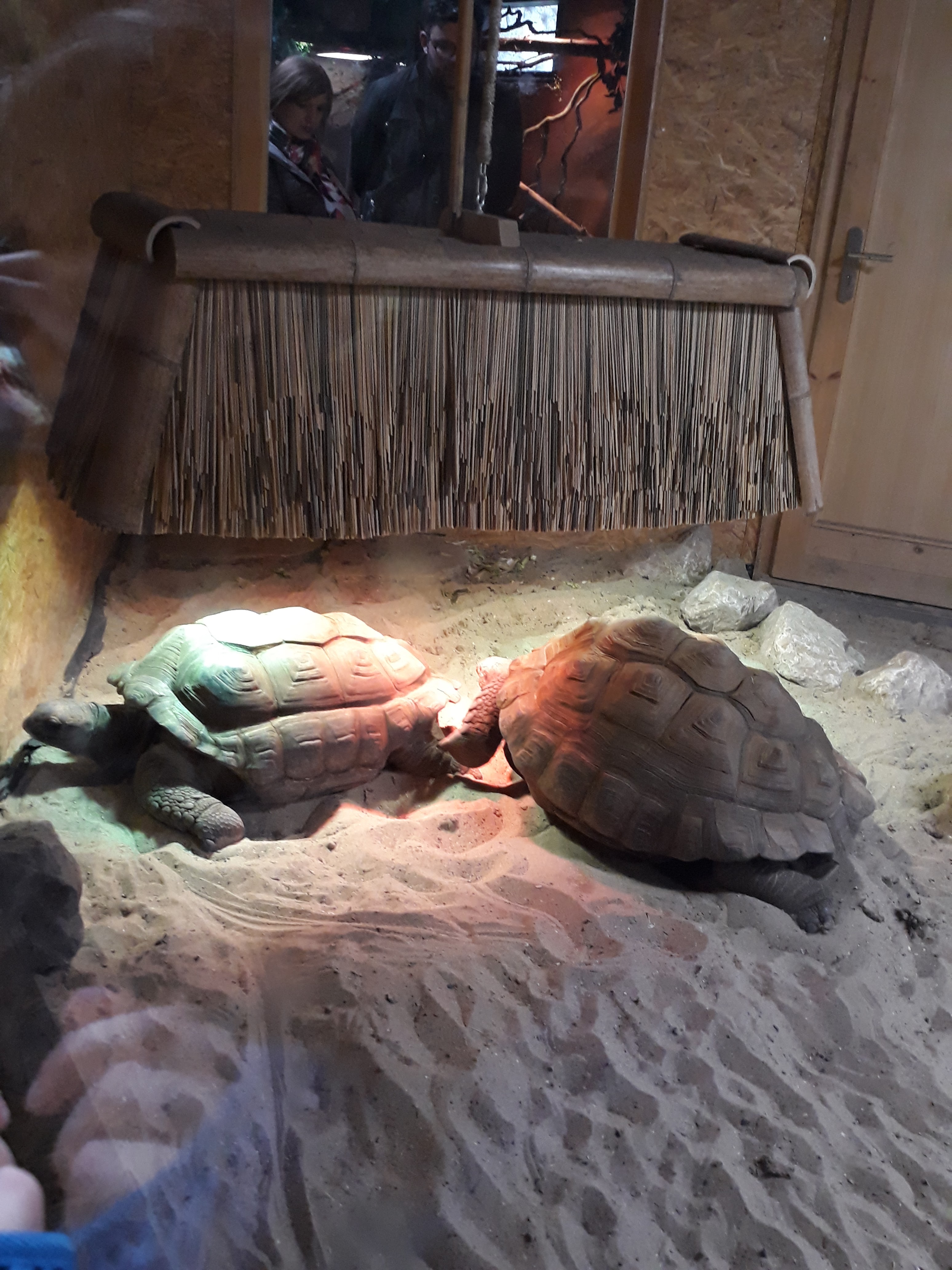 Photo n° 7 de l'avis de Priscillia.r fait le 18/02/2019 à 12:48