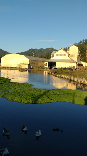 Aqua Dam Inc in Scotia, California