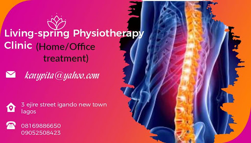 Living Spring physiotherapy clinic(Home Care/Office Care), 10 soile street, ogba, ifako ijaiye, kosofe,magodo,festac,mushin,isolo ogba/ikeja, Ifako-Ijaiye 100218, Lagos, Nigeria, Psychologist, state Lagos