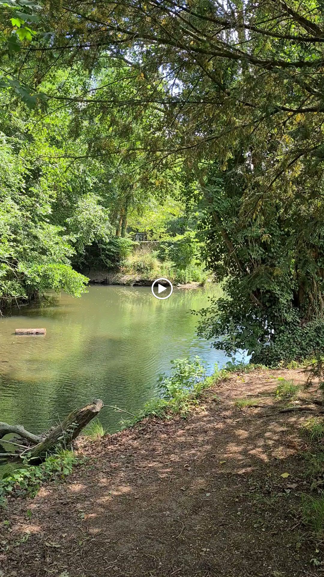 Photo n° 2 de l'avis de Sandrine.y fait le 10/06/2023 à 19:35