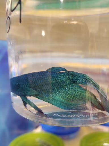 Pet Supply Store «PetSmart», reviews and photos, 2216 E Springs Dr, Madison, WI 53704, USA