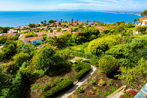 Accardo Real Estate Associates image