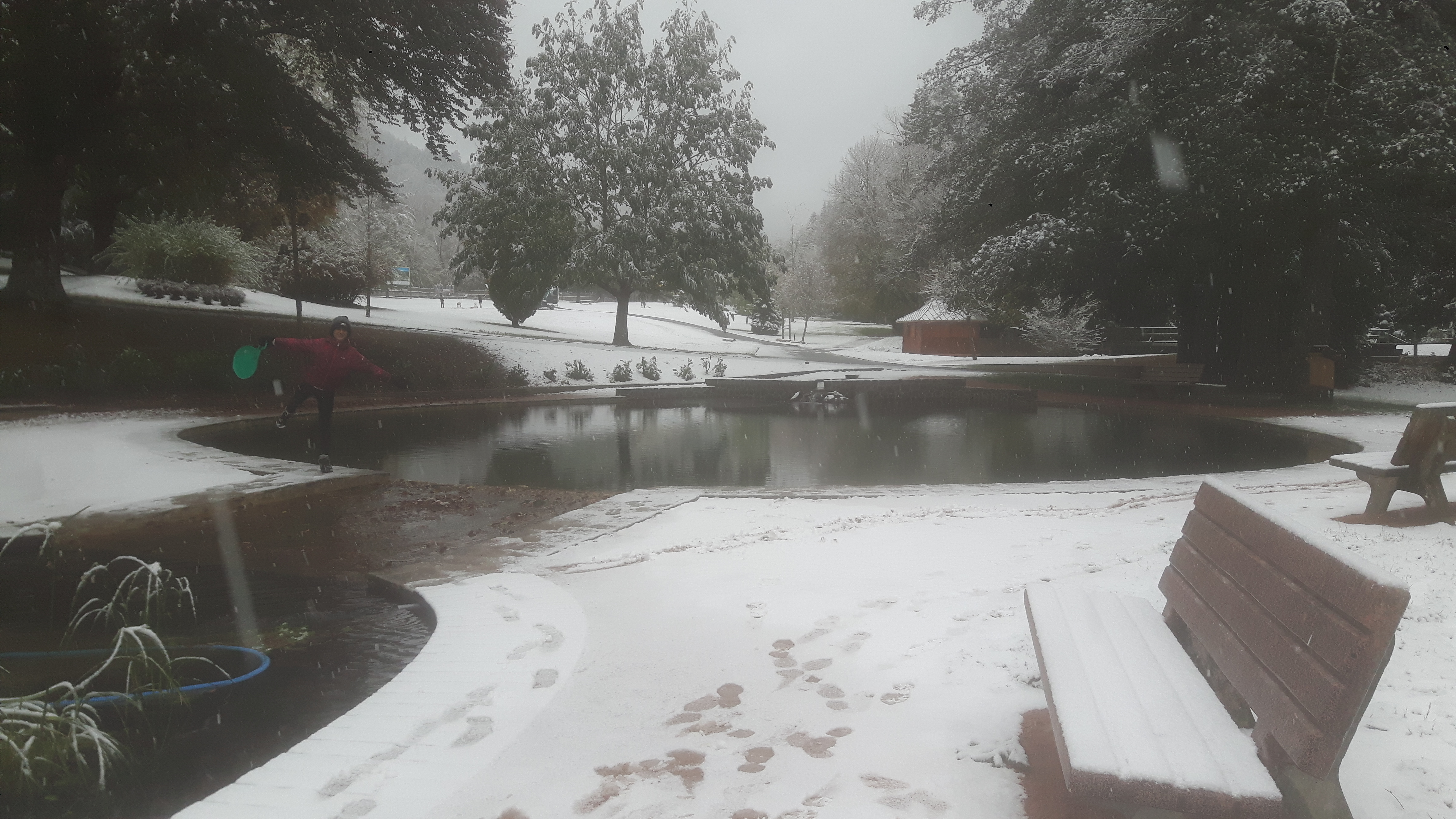 Photo n° 4 de l'avis de NPNG.u fait le 01/11/2018 à 13:52