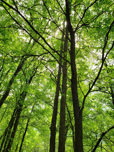 State Park «Cedar Hill State Park», reviews and photos, 1570 FM1382, Cedar Hill, TX 75104, USA