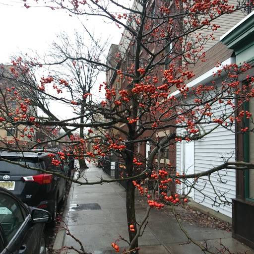 Grocery Store «ACME Markets», reviews and photos, 614 Clinton St, Hoboken, NJ 07030, USA