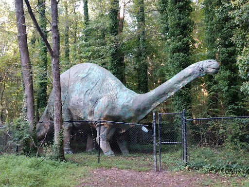 Durham's hidden dinosaur