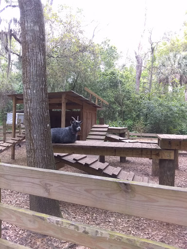 Nature Preserve «Tree Hill Nature Center», reviews and photos, 7152 Lone Star Rd, Jacksonville, FL 32211, USA