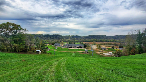 Ski Resort «Welch Village Ski & Snowboard Area», reviews and photos, 26685 County 7 Blvd, Welch, MN 55089, USA