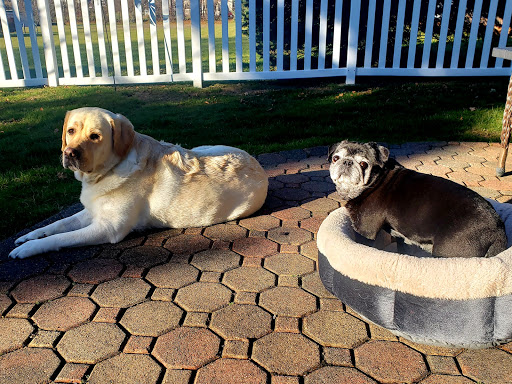 Pet Supply Store «Petco Animal Supplies», reviews and photos, 1309 W Main Rd, Middletown, RI 02842, USA