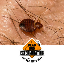 Dead End Exterminating, LLC
