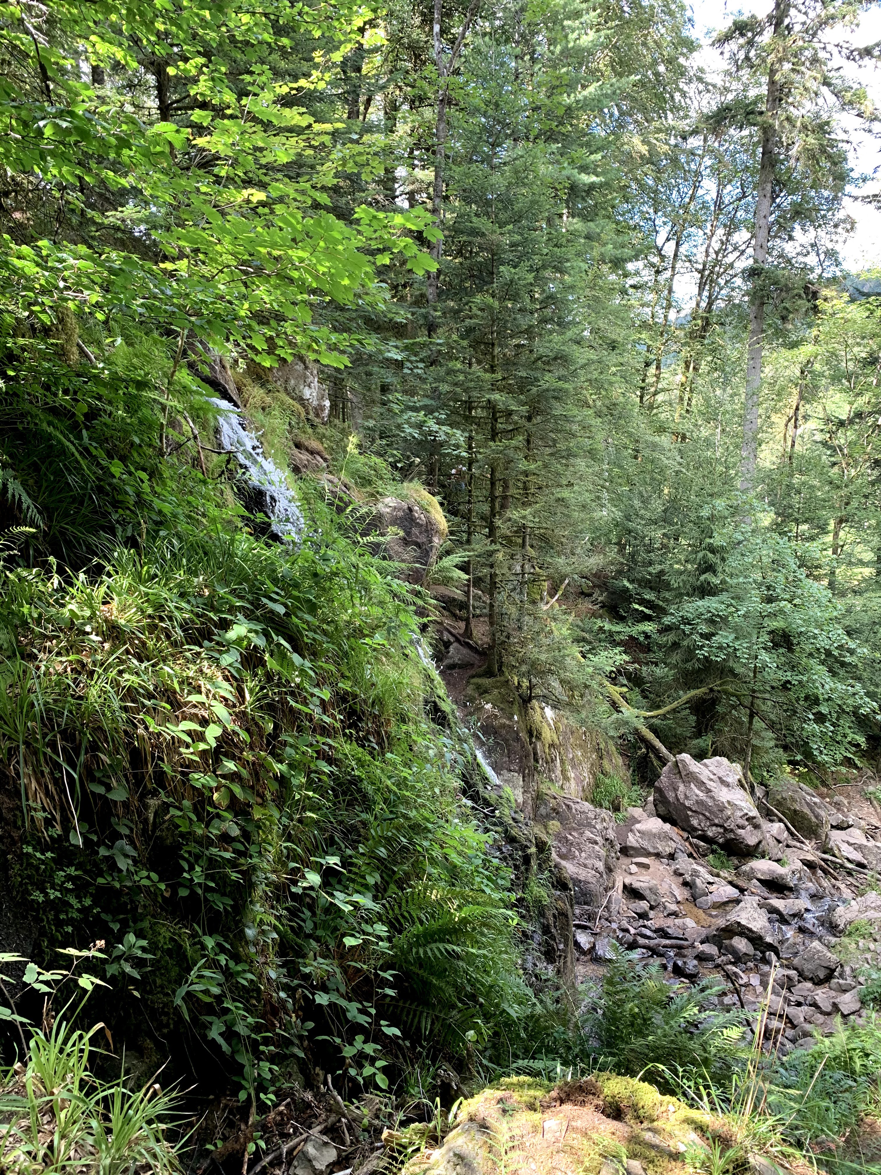 Photo n° 9 de l'avis de Lionel. fait le 27/08/2020 à 21:59