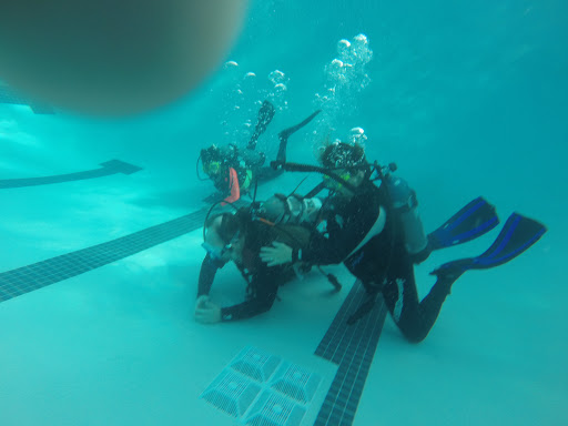 Dive Shop «Orbit Marine Sports Center Inc», reviews and photos, 3273 Fairfield Ave, Bridgeport, CT 06605, USA