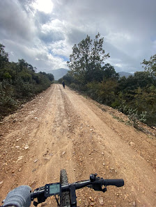 Bici Rana, SL 