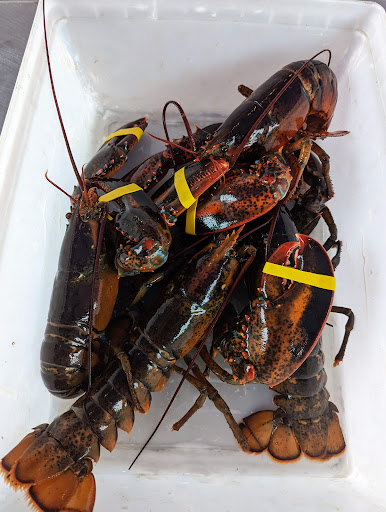 Seafood Market «Pine Tree Seafood & Produce», reviews and photos, 655 US-1, Scarborough, ME 04074, USA