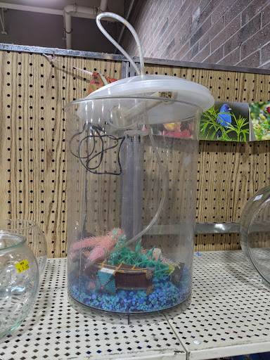 Thrift Store «Hillcrest Thrift Shop», reviews and photos